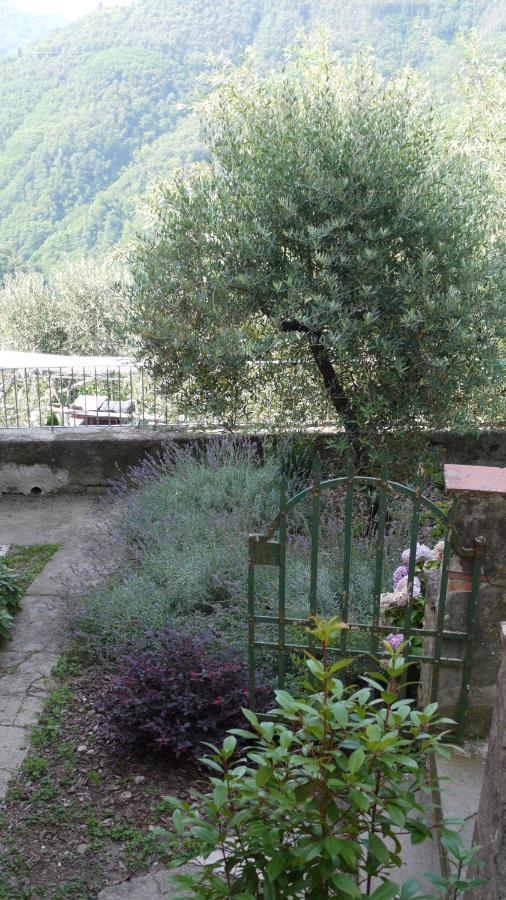 Piscina Con Vista Villa Bagni di Lucca Bagian luar foto